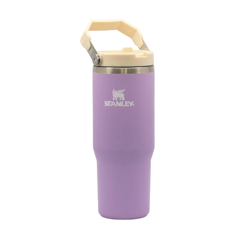 STANLEY 30 oz The IceFlow Flip Straw Tumbler - Purple